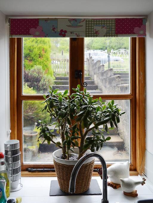Foresters Inn Cottage Parkend Экстерьер фото